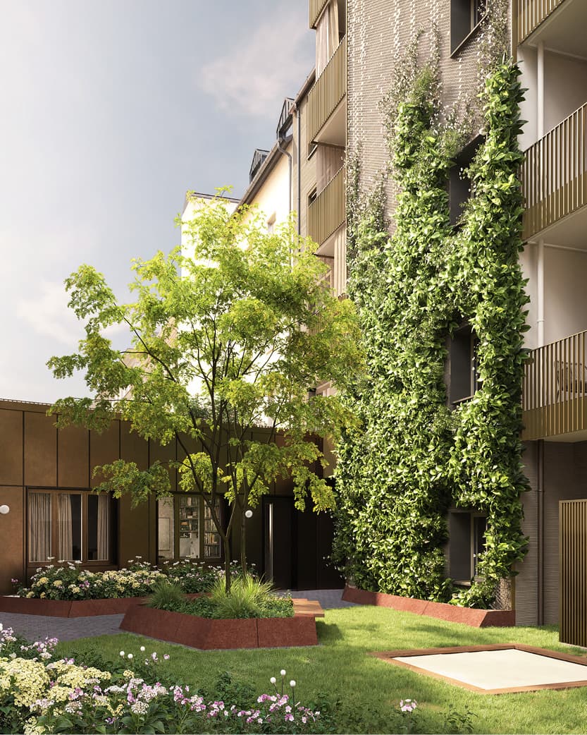 Innenhof mit Baum und Beeten, dahinter die vollständig berankte Fassade